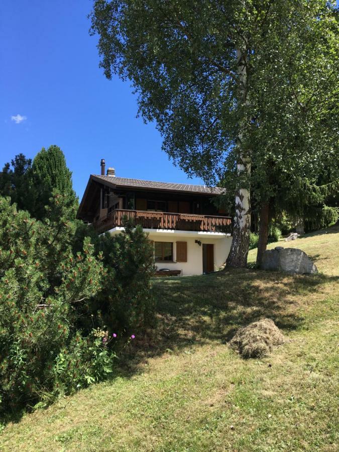 Chalet Firn Bürchen Extérieur photo